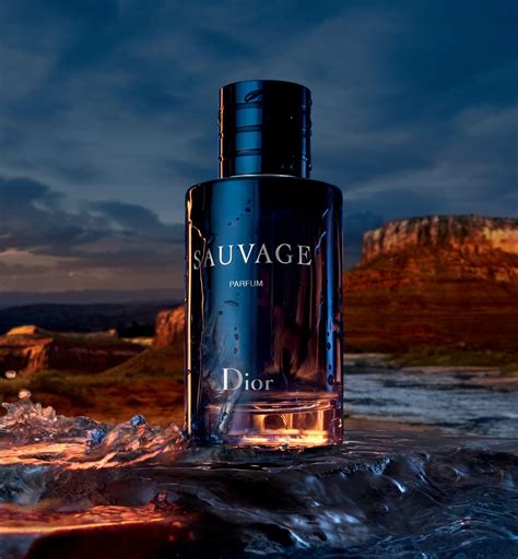 sauvage dior parfyme|diore sauvage parfum 100 ml.